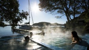 Pure Cruise Lake Rotoiti tour